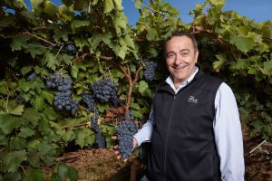  Asian opportunities behind grape merger